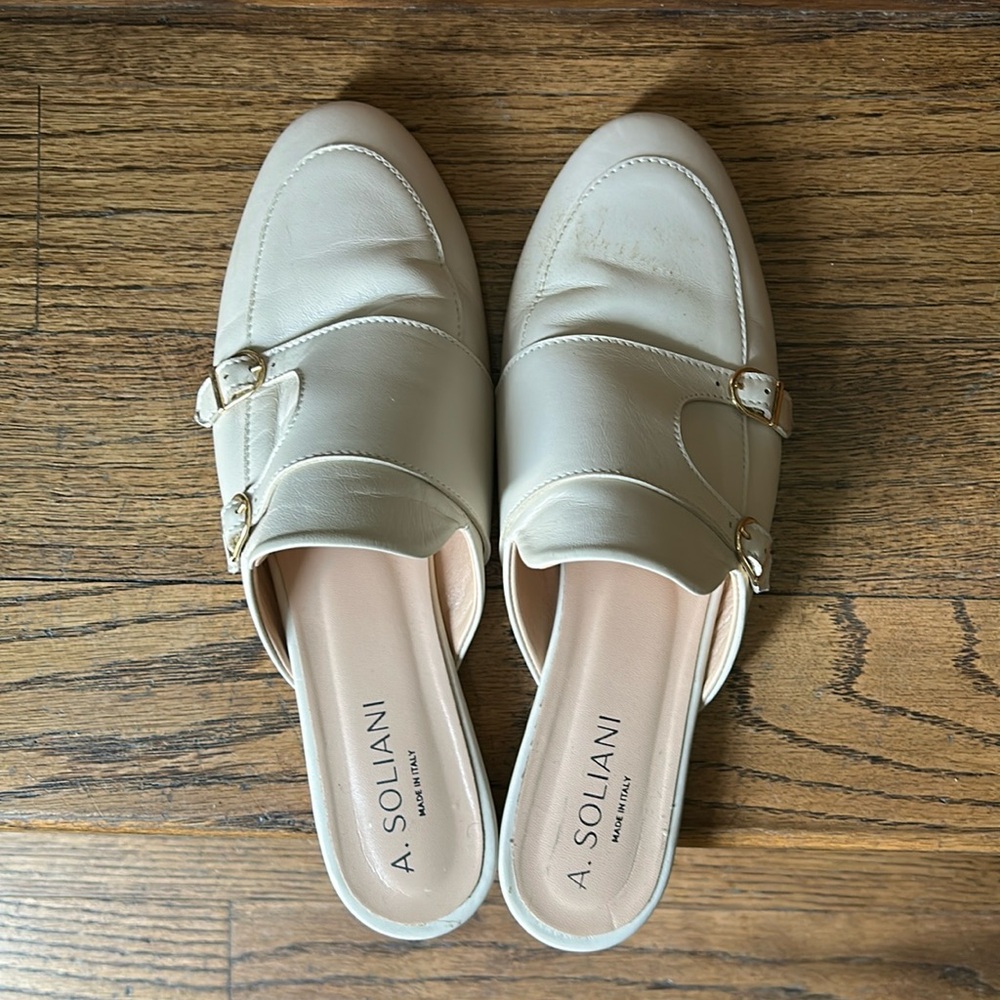 A. Soliani flats